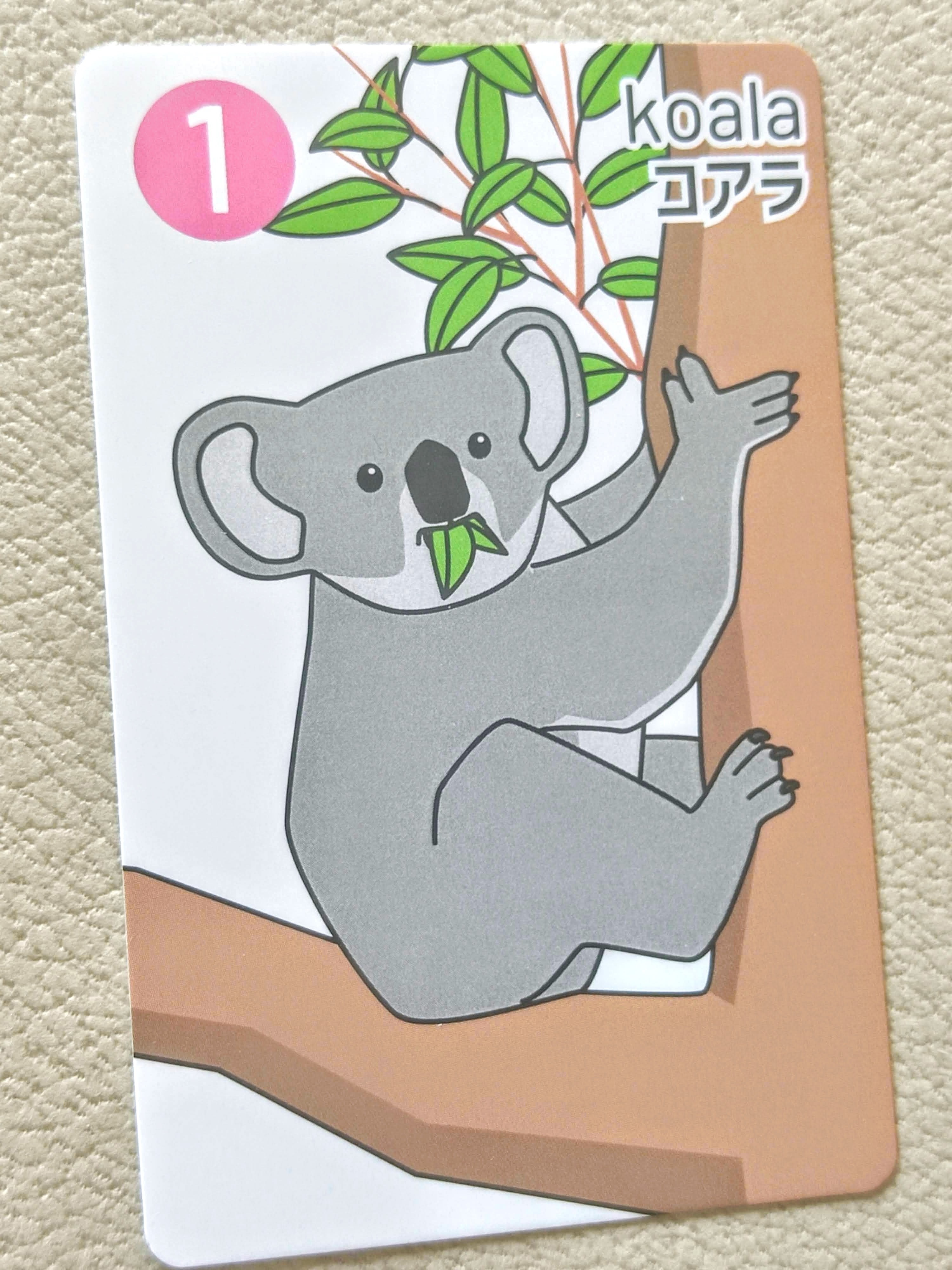 カードゲーム　コアラ