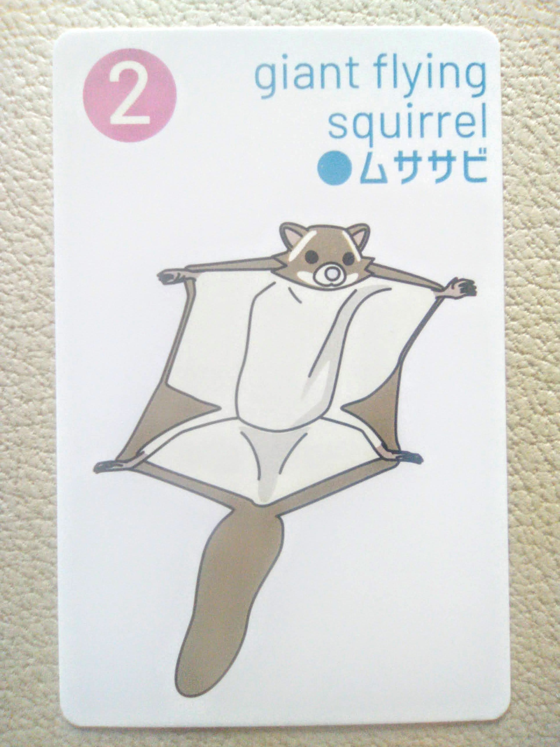 カードゲーム　レッサーパンダ