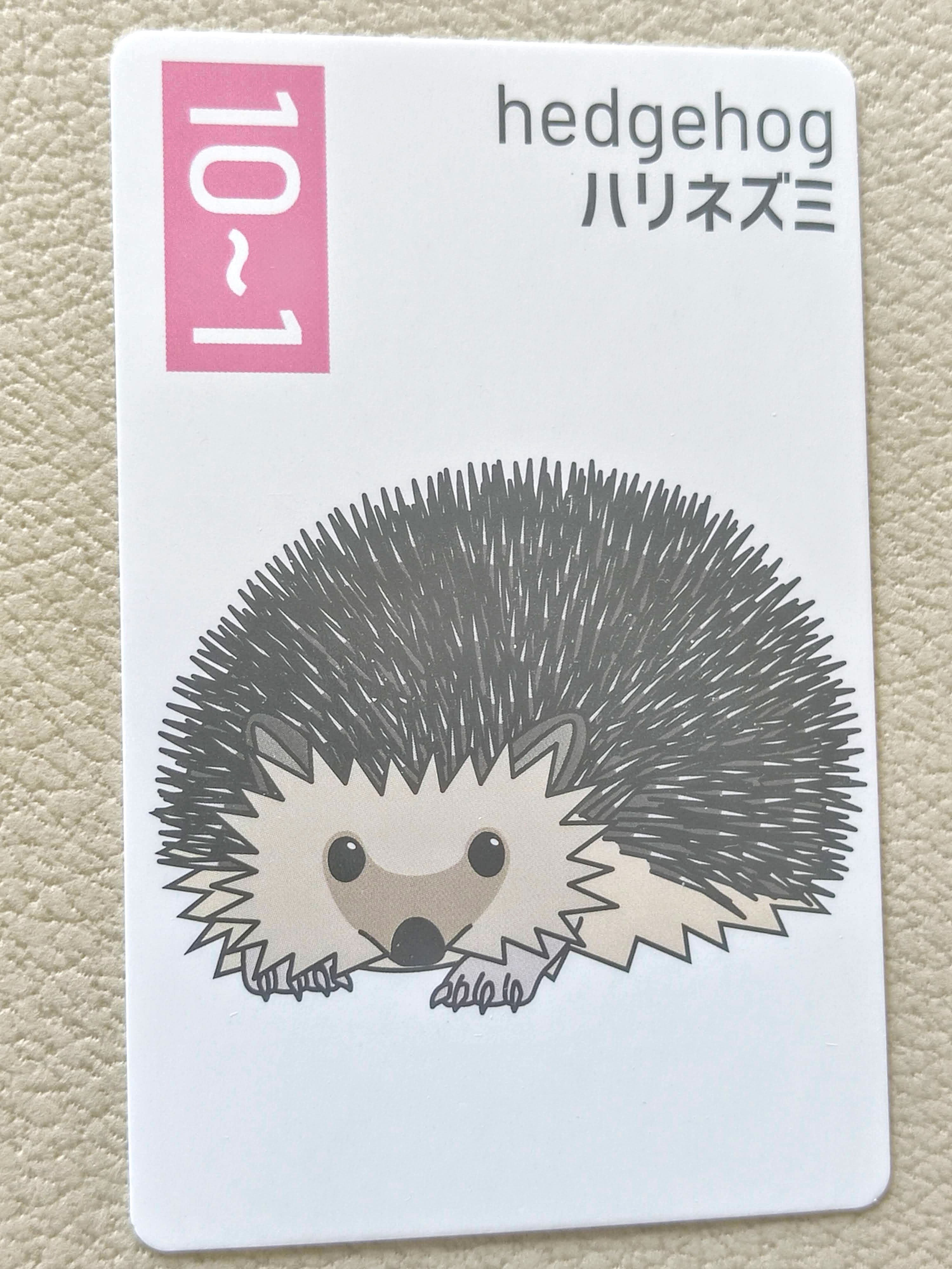 カードゲーム　ネズミ